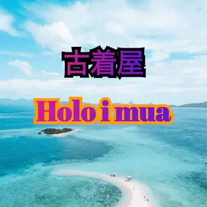 NHL BLUES HOCKEY ピステ プルオーバー CCM 古着 - メルカリ