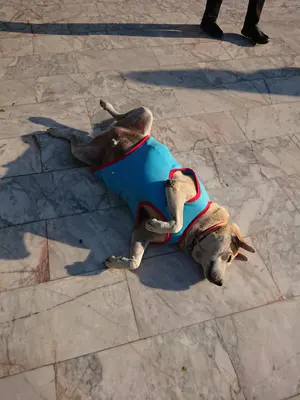 ナショナル白黒テレビ（FM・AMラジオ・デジタル時計付き）中古品