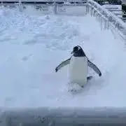 Christian Dior ヴィンテージ ミラー ロゴ入り ケース付き 非売品 Christian Dior ヴィンテージ ミラー ロゴ入り ケース付き 非売品