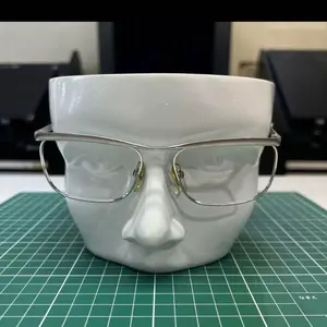メガネのたみいら