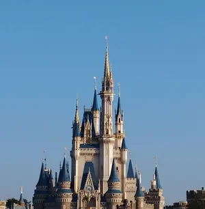 藍　3/29〜31発送不可