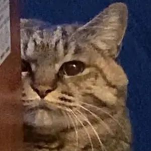 即購入ＯＫ【商品説明欄を必読して下さい】