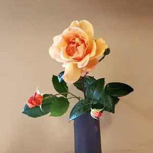 茶道具 真葛香斉造り 竹絵茶碗 - メルカリ