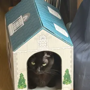 ヴァンガード コーラル軸 超越デッキ - メルカリ