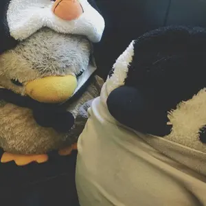 IS:SUE FC入会特典 直筆サイン(全員)ポストカード - メルカリ