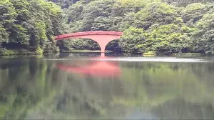 販売終了品】トミカ びゅんびゅんサーキット【直接取引、エコメルカリ