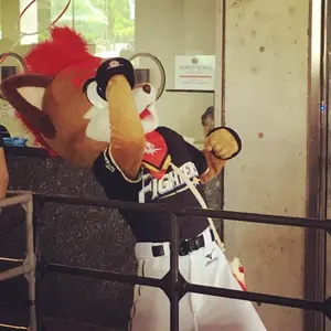 中日ドラゴンズ 根尾昂 初本塁打記念 直筆サインボール BBM - メルカリ