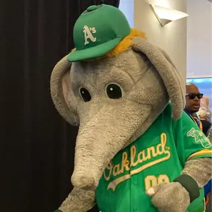 秋山翔吾 直筆サインボール シンシナティ・レッズ MLB公認ホログラム付 秋山翔吾 直筆サインボール シンシナティ・レッズ MLB公認ホログラム付