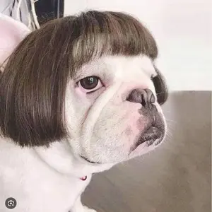 【埼玉県北部引渡し限定】 あさひサイクル 美品 27インチ シマノ 6段変速付き あさひ（自転車） 「あさひ」トラッドラインW-O 27インチ 6段