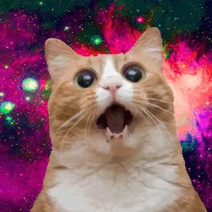 ぽん(値下げ依頼機能のみ対応)