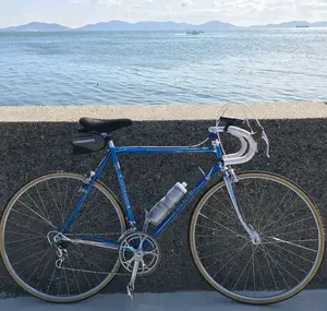 再値下げ<中古> DE ROSA刻印カンパ スーパーレコード クランク53×42 再値下げ<中古> DE ROSA刻印カンパ スーパーレコード クランク53×42