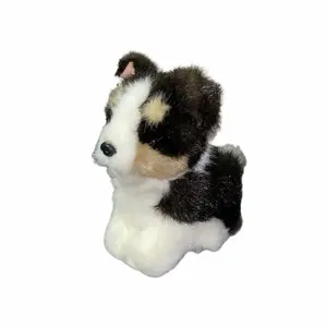 美品〉すやすやフレンド ぬいぐるみS ポケモン アシマリ - メルカリ