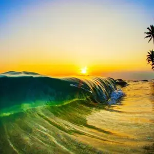 アルベロベロ コート ぶたさん 裏起毛 ダブルファスナー kiraraさん