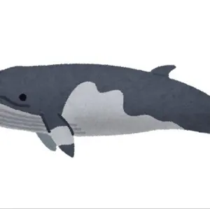 カジキマグロー