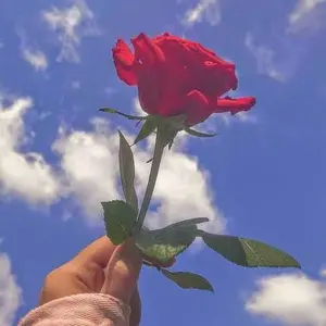 Riko:まとめ買い割引中