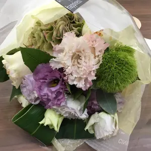mal. レレレさん配信　シニカル　トップス　焦茶　新品・未使用品 mal. レレレさん配信 シニカル トップス 焦茶 新品・未使用品