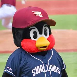 阪神タイガース 優勝記念 カード 佐藤輝明 - メルカリ