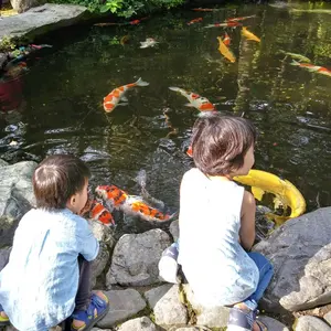 八海山 水無渓谷 八海石(8.1kg) - メルカリ