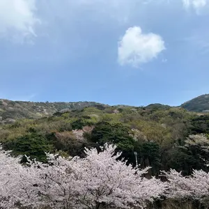 ⚠️即購入禁止必ずコメ Apple iPhone 12 ブラック 本体 値下げ