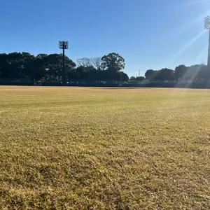 バ*ル様 おまけ付きKONICAコニカHEXANON AR 24mmF/2.8単 - メルカリ