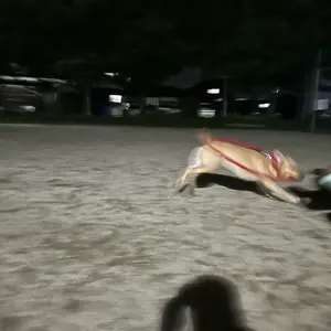 タミヤ ドリフト ラジコン フルセット　TT01　金シルビア 値下げ受け付けます タミヤ ドリフト ラジコン フルセット TT01 金シルビア 値下げ受け付け