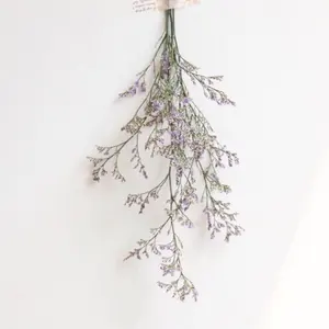 ハイキュー!! 宮侑 ジャンプフェスタ アートコースター 112枚 ハイキュー!! 宮侑 ジャンプフェスタ アートコースター 112枚