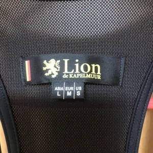 強固補強】Magene L508 レーダーテールライト レックマウント修繕済