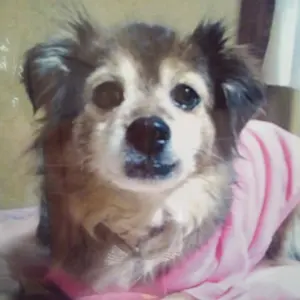 KOROTAN  ☆プロフ必読☆