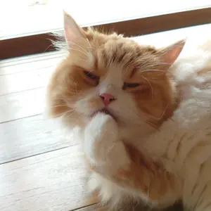 極美品 完売品 ツムグ♡コットン ビエラトップ 起毛 刺繍 2way