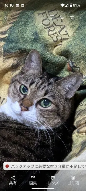 未使用 LLビーン ロングダウンコート ウルトラウォーム 廃盤色 紫