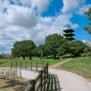 超希少 ハヤシレーシング PCD140スバルレオーネ ジャンク品