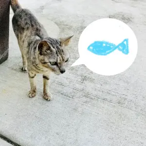 えのねこ