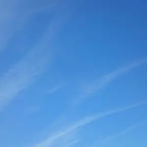 ほそん(プロフ必読)