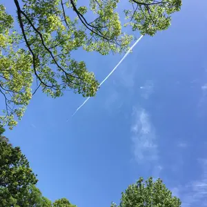 momsak＊値下げ受付中