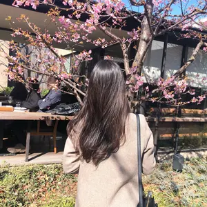 シェーンボーデン モンローリップ 木村拓哉 - メルカリ