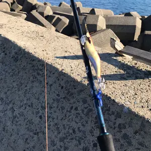 Gsh-395 Diamana シャフト単品 TM50 flexS スリーブ付 Gsh-395 Diamana シャフト単品 TM50 flexS スリーブ付 - メルカリ