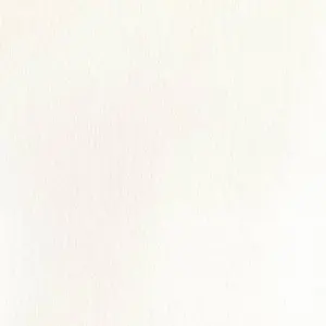 【美品・超希少】果たすべき約束 レン SP サイン GGO サイン)果たすべき約束 レン(SP)(GGO-S59-002SPSP)｜ヴァイス