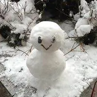 現定価30万極美品JIL SANDER ジルサンダー ボンバージャケット 44