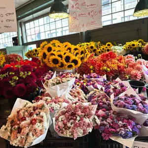 N.Flying〖LET'S ROLL4EVER 〗トレカ チャフン - メルカリ