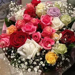 未開封 ふるさと納税 伊賀市 サンリオコラボ マイメロディ クロミ 2022