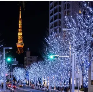 未使用タグ付きApuweiser-riche キラキラループツイードジャケット