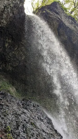 ソーデルハムン　SÖDERHAMN　ショーインゲ　ネックサポート ソーデルハムン SÖDERHAMN ショーインゲ ネックサポート