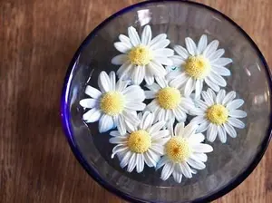 ゲリラセール中～♥️アトレ♥️