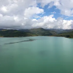 わしだ　プロフ要確認