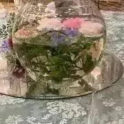 彩@プロフ一読お願い致します