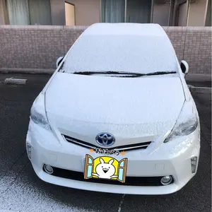 d*e様 非売品／未開封／新品 レクサス LEXUS LBX ミニカー LHD - メルカリ