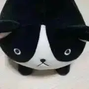 故宮博物院　全15巻揃い　特別付録付　NHK出版 Amazon.co.jp: 故宮博物院 15 : 日本放送出版協会: 本