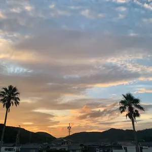 ポケモンカードセット　引退品　2003年頃 ポケカ引退品 2003年頃のカード多数 - メルカリ