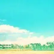 ときメモGS3 設楽聖司 プリザーブドフラワー - メルカリ