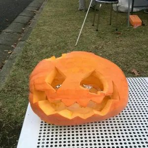 やきめし@プロフ必読